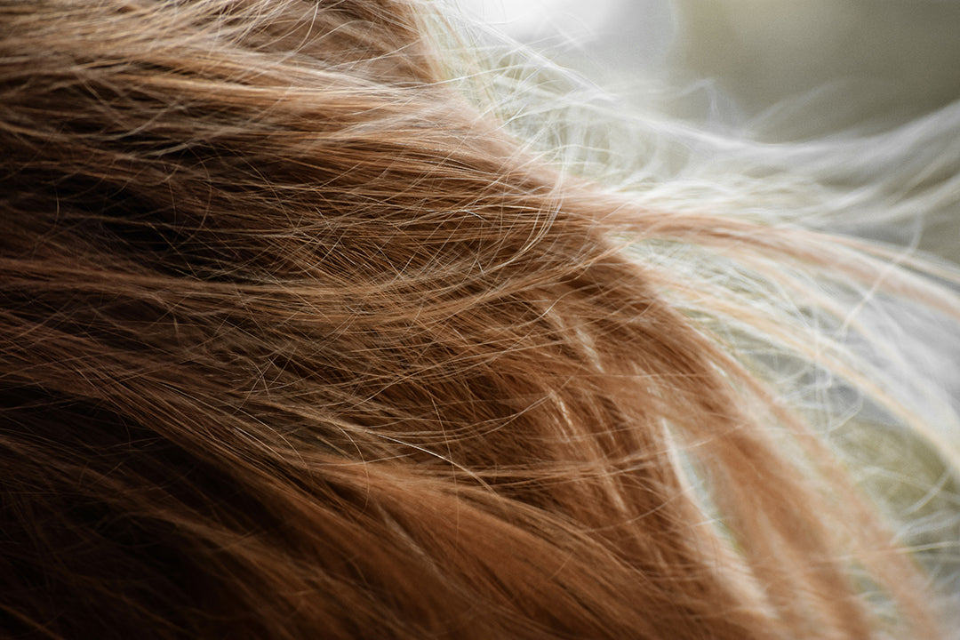 Dry & Damaged Hair